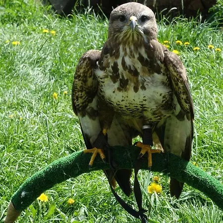 V Müllerovom Dome Affittacamere 3*